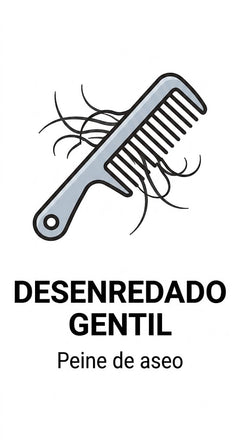 Icono
